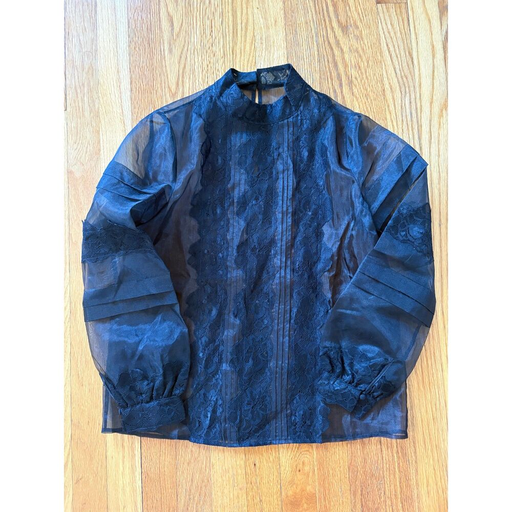Sheer Lacy Black Long Sleeve Top